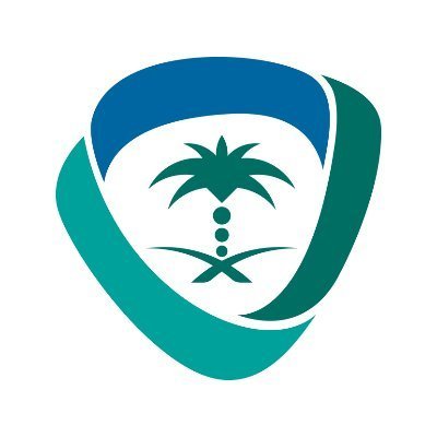 zm6vqvwm 400x400 (1)